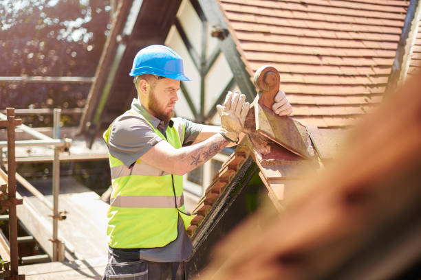 Best Roof Gutter Cleaning  in Oakhurst, CA